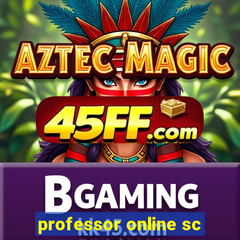 professor online sc